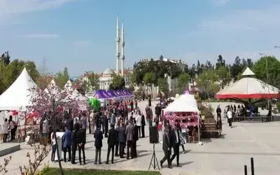 “haydi” Projesi