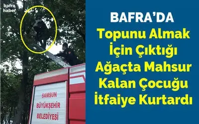 Topunu Almak İçin Çıktığı Ağaçta Mahsur Kalan Çocuğu İtfaiye Kurtardı