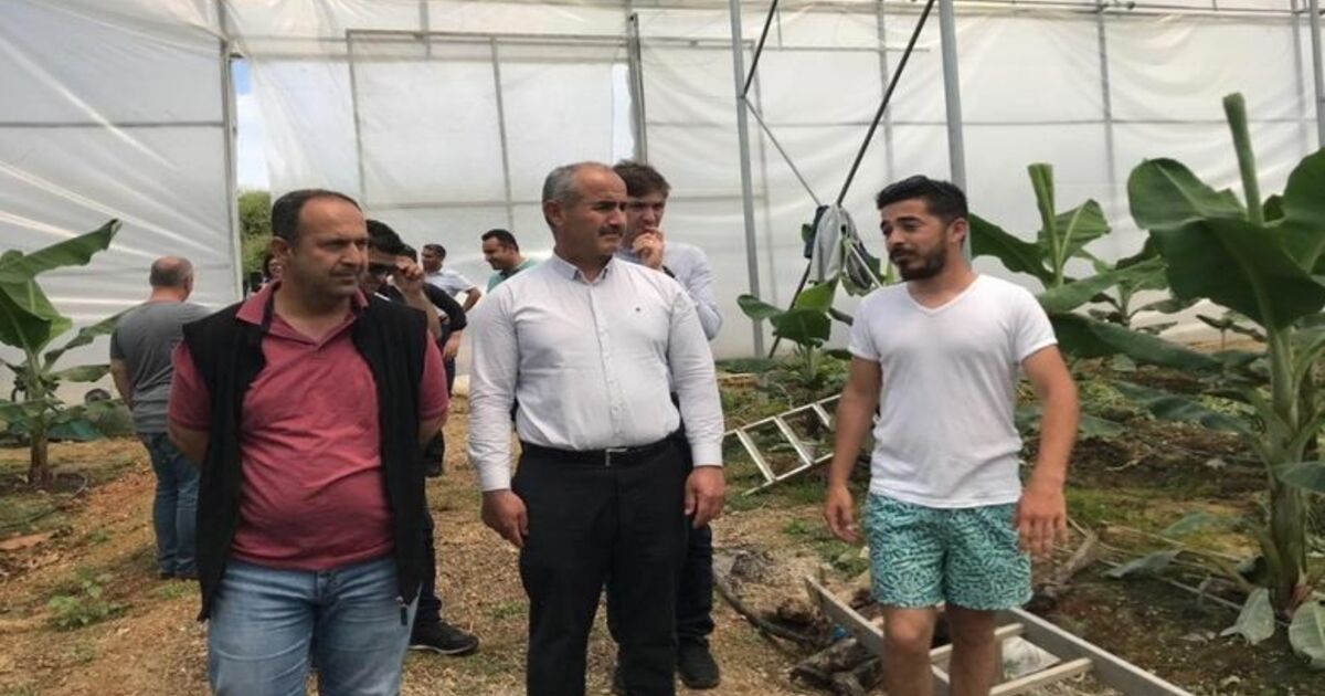 Bafra İle Antalya ‘tarım’ Kardeşi Oldu Antalya’nın Örtü Altı Yetiştiriciliği Deneyimi Bafra’ya Aktarılacak