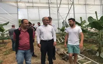 Bafra İle Antalya ‘tarım’ Kardeşi Oldu Antalya’nın Örtü Altı Yetiştiriciliği Deneyimi Bafra’ya Aktarılacak