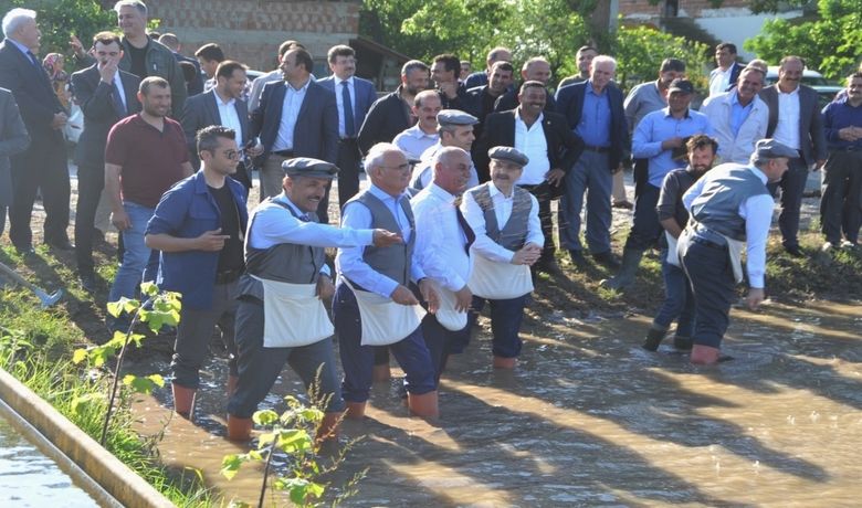 Çizmeleri Giyen Protokol Çeltik EktiGeleneksel 5. Çeltik Ekimi Festivali - Samsun Bafra Kaymakamlığı ve Bafra Ziraat Odası tarafından organize edilen "Geleneksel 5. Çeltik Ekimi Festivali"nde, çeltik tohumları protokol tarafından suyla buluşturuldu.