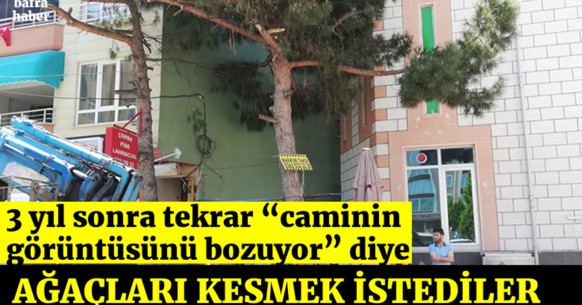 3 Yıl Sonra Tekrar Caminin Görüntüsünü Bozuyor Diye Ağaçları Kesmek İstediler