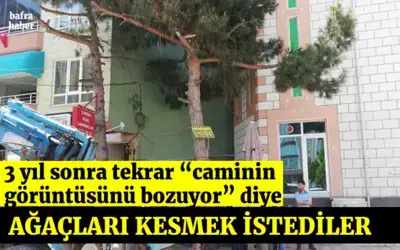 3 Yıl Sonra Tekrar Caminin Görüntüsünü Bozuyor Diye Ağaçları Kesmek İstediler