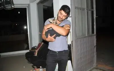 Vatandaşlar Yavru Karacaya Sahip Çıktı