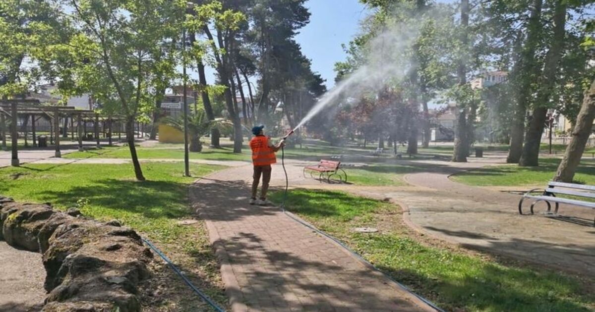 Bafra Belediyesi Larva İlaçlamasını Sürdürüyor