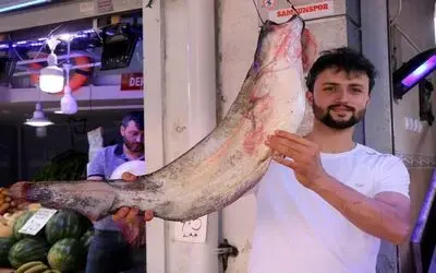 Yasak Bitti, Tatlısu Balıkları Tezgahları Süsledi Vatandaşlar Yayın Ve Sazan Balıklarına İlgi Gösterdi