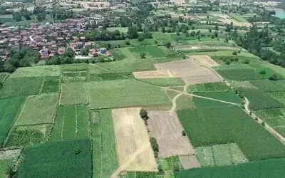 Samsun, Türkiye’nin Sebze Ve Meyve Ambarı Türkiye Çeltik, Soya, Tütün, Kırmızı Pancar, Lahana, Biber, Turp, Patlıcan, Ispanak, Barbunya, Fındık, Kivi Ve Armudunu Samsun’dan Karşılıyor