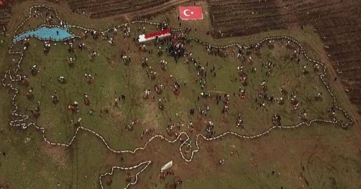 '100. Yıl Kurtuluş Ormanı'na 19 Bin 19 Adet Fidan Dikilecek