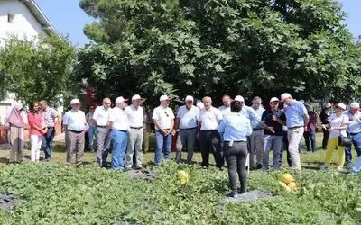 Yağmur Suyu İle Kavun-karpuz Yetiştirildi