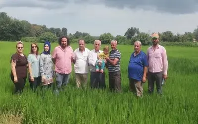 Damlama Sulama İle Çeltik Ekiminde 70 Su Tasarrufu