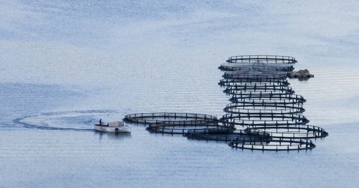 Kapıkaya Fest 2019 Fotoğraf Yarışması Sonuçlandı