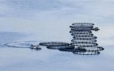 Kapıkaya Fest 2019 Fotoğraf Yarışması Sonuçlandı