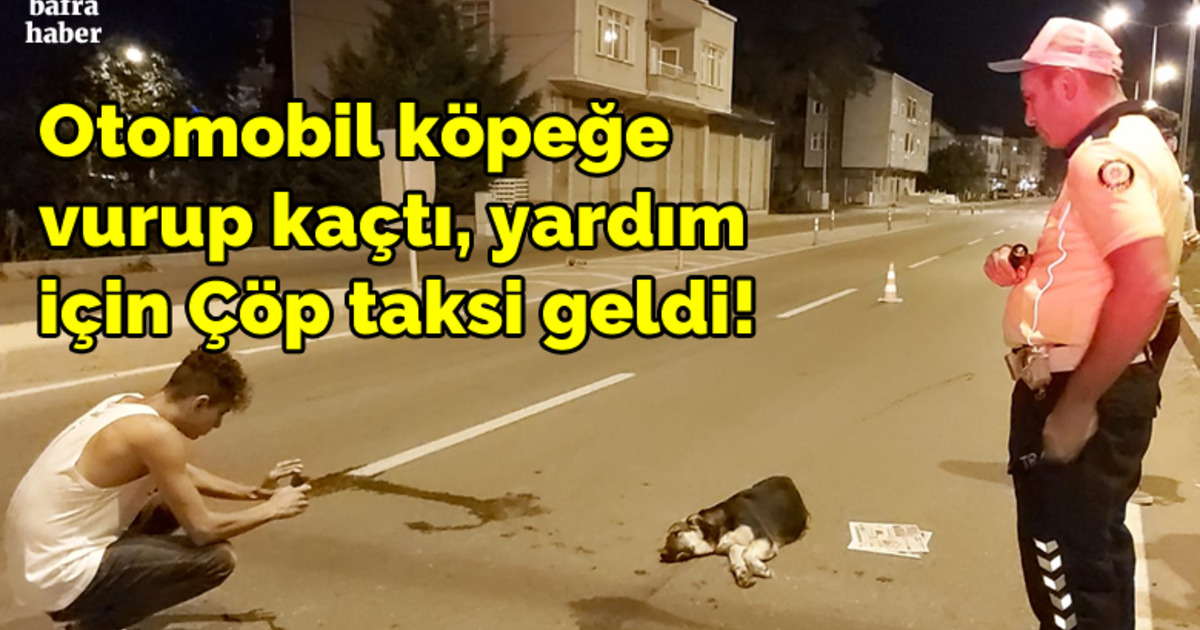 Otomobil Köpeğe Vurup Kaçtı, Yardım İçin Çöp Taksi Geldi!