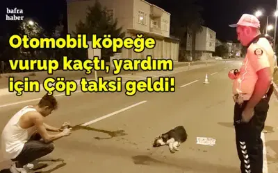 Otomobil Köpeğe Vurup Kaçtı, Yardım İçin Çöp Taksi Geldi!