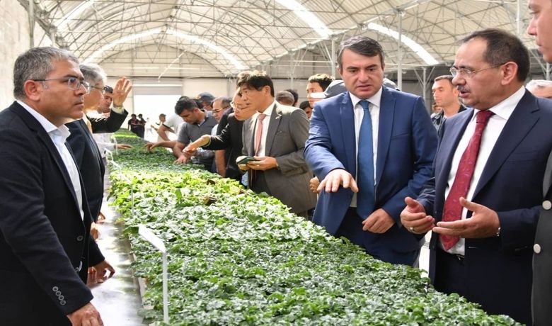 Japonlardan Bafra'ya Tarım Yatırımı BaşkanMustafa Demir: “hedef, Tarıma Dayalı Sanayi” - Samsun Büyükşehir Belediye Başkanı Mustafa Demir, "Büyükşehir Belediyesi olarak tarıma dayalı üretim ve tarıma dayalı sanayi alt yapı çalışmalarını büyük ölçüde tamamladık" dedi.
