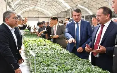 Japonlardan Bafra'ya Tarım Yatırımı Başkan Mustafa Demir: “hedef, Tarıma Dayalı Sanayi”