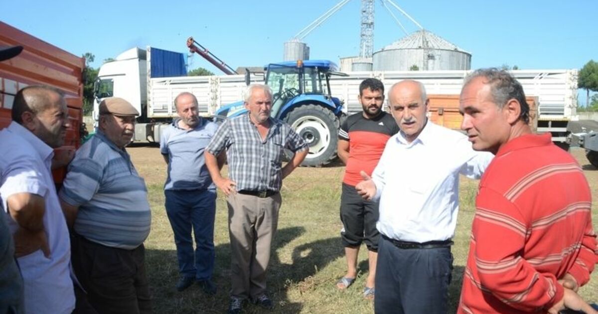 Ayçiçeği Üreticileri Fiyatlardan Memnun Değil