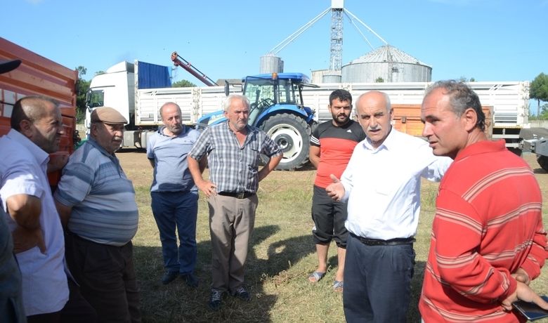 Ayçiçeği Üreticileri Fiyatlardan Memnun Değil - Samsun'un Bafra ilçesinde ayçiçeği üreticileri fiyatlardan memnun değil.