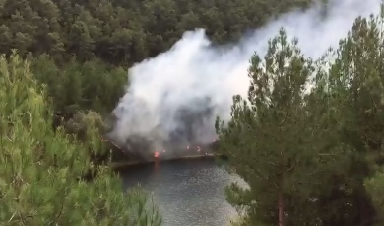 Sorumsuz Piknikçiler Yangın Çıkardı - Samsun’un Bafra ilçesinde sorumsuz piknikçiler ormanlık alanda yangın çıkardı.