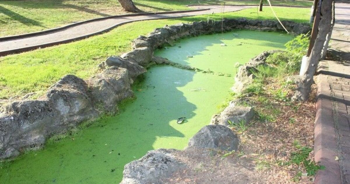 Asırlık Büyük Park’ta Su Yolu Yosun Yoluna Dönüştü
