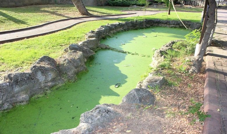 Asırlık Büyük Park’ta Su Yolu Yosun Yoluna Dönüştü - Bafra Belediyesine ait Asırlık Büyükpark’taki su yolu yosun yoluna dönüştü. 