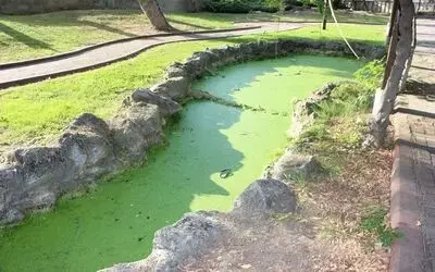 Asırlık Büyük Park’ta Su Yolu Yosun Yoluna Dönüştü