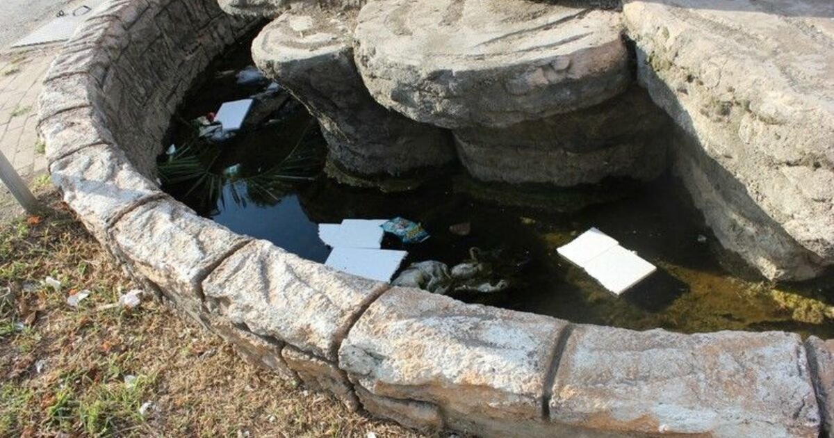 Süs Havuzu Çöp Ve Yosun Havuzu Oldu!