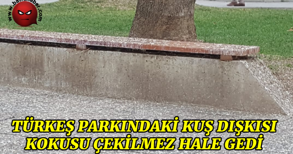 Türkeş Parkındaki Kuş Dışkısı Kokusu Çekilmez Hale Geldi