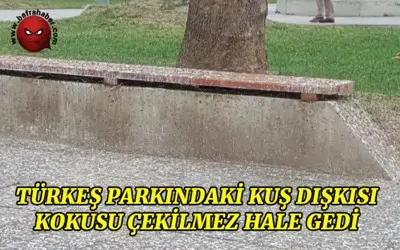 Türkeş Parkındaki Kuş Dışkısı Kokusu Çekilmez Hale Geldi