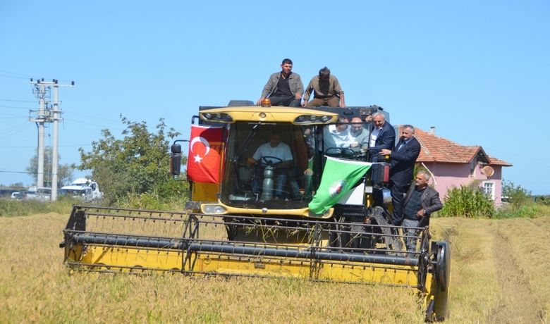 Protokol Çeltik HasadındaBafra'da Çeltik Hasat Etkinliği - Samsun’un Bafra ilçesinde protokolün katılımıyla “Çeltik Hasat Şenliği” düzenlendi.