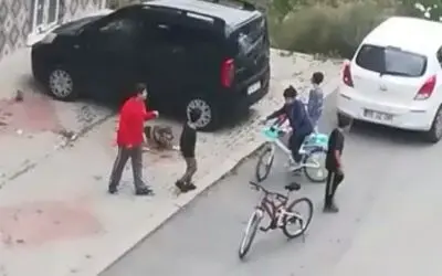 Mahallenin Çocukları Köpeği Barınağa Vermedi