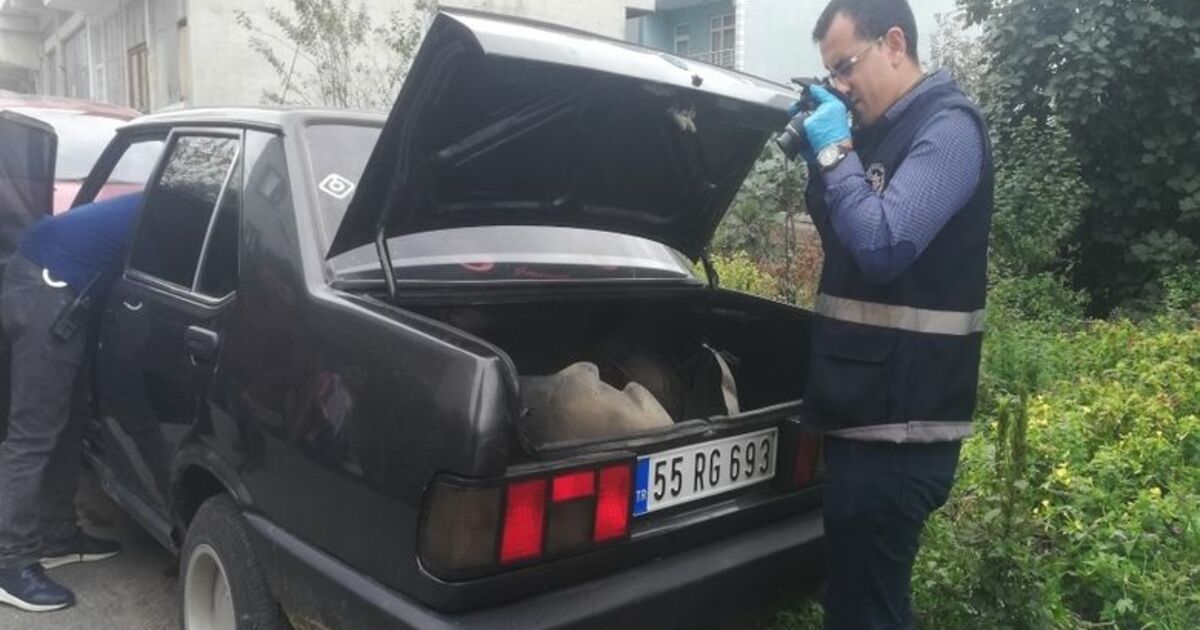 Park Halindeki Otomobilin Ses Sitemi Çalındı