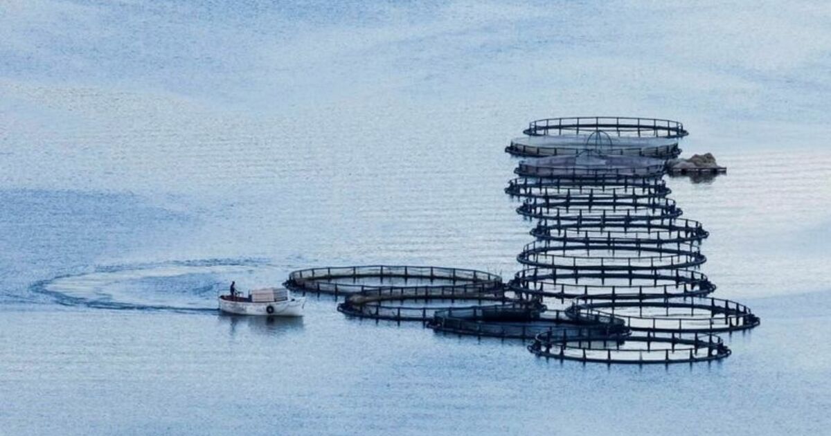 Kapıkayafest 2019 Fotomaraton Ödül Töreni