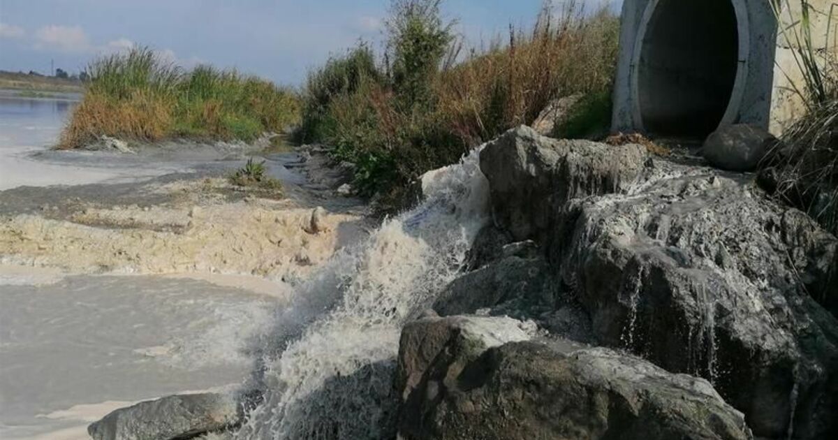 Bafra’ya Yayılan Kötü Kokunun Kaynağı Osb’deki Balık Tesisi 