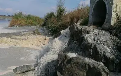Bafra’ya Yayılan Kötü Kokunun Kaynağı Osb’deki Balık Tesisi 