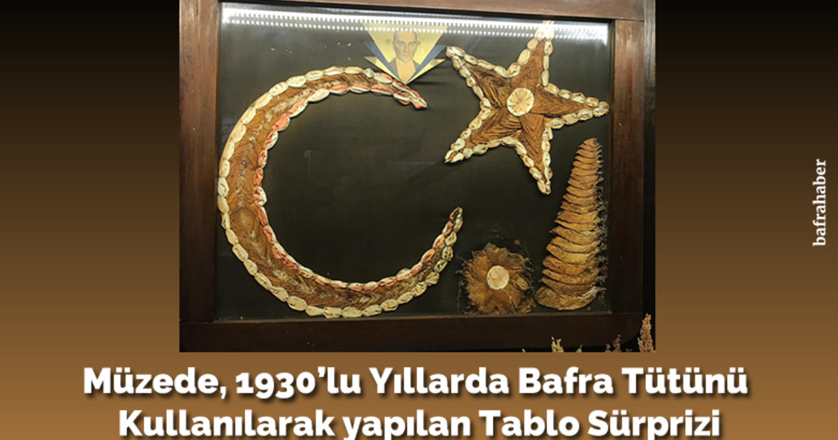 Müzede, 1930’lu Yıllarda Bafra Tütünü Kullanılarak Yapılan Tablo Sürprizi