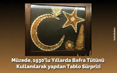 Müzede, 1930’lu Yıllarda Bafra Tütünü Kullanılarak Yapılan Tablo Sürprizi
