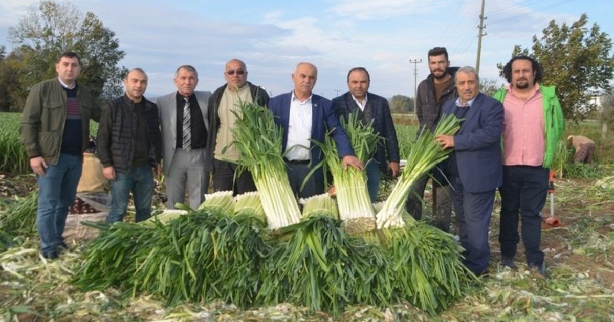 Pırasa Üreticileri Fiyatlardan Memnun Değil