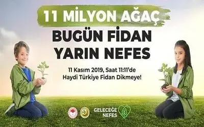 Bafra 11 Milyon Ağaç İçin Buluşuyor