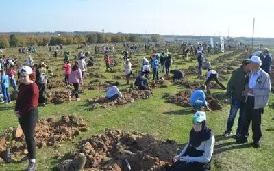 Bafra'da 5 Bin Fidan Toprakla Buluştu