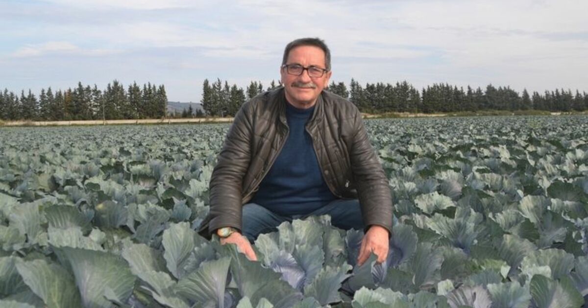 Şahin: “bir Ürün Para Yaptı Diye Herkes Ona Yüklenmesin” Bafra Sebze Hali Dernek Başkanı Şahin: “köylümüz Alışmış Ne Para Yapıyor Onu Ekiyorlar, Öbür Sene Zaten Satılmıyor”