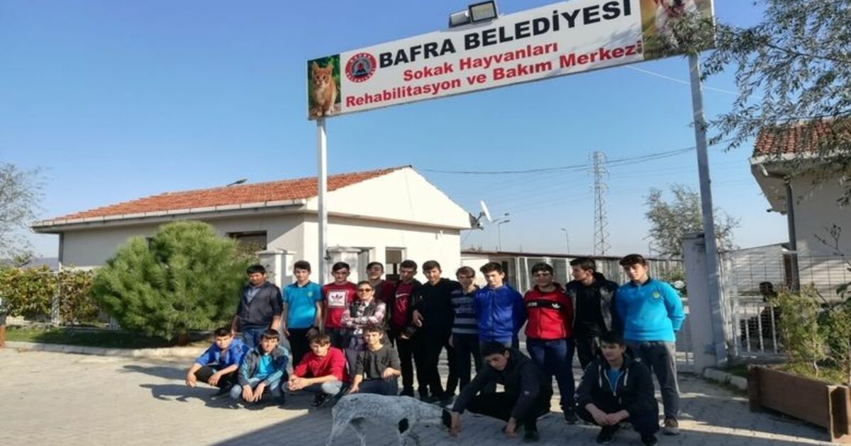 Öğrenciler Hayvan Barınağında