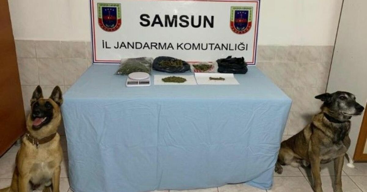 Bafra Ve Alaçam'da Uyuşturucu Operasyonu: 1 Gözaltı
