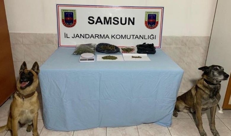 Bafra Ve Alaçam'daUyuşturucu Operasyonu: 1 Gözaltı - Samsun'da yapılan uyuşturucu operasyonunda Alaçam'da evinde yetiştirdiği kenevir bitkisinden elde ettiği esrar maddesini Bafra'daki iş yerinde sattığı iddia edilen 1 şüpheli gözaltına alındı.