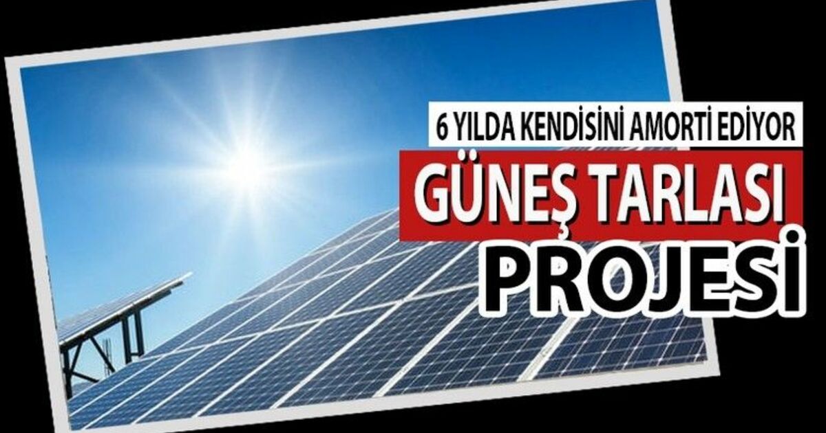 Bafra'ya Güneş Tarlası