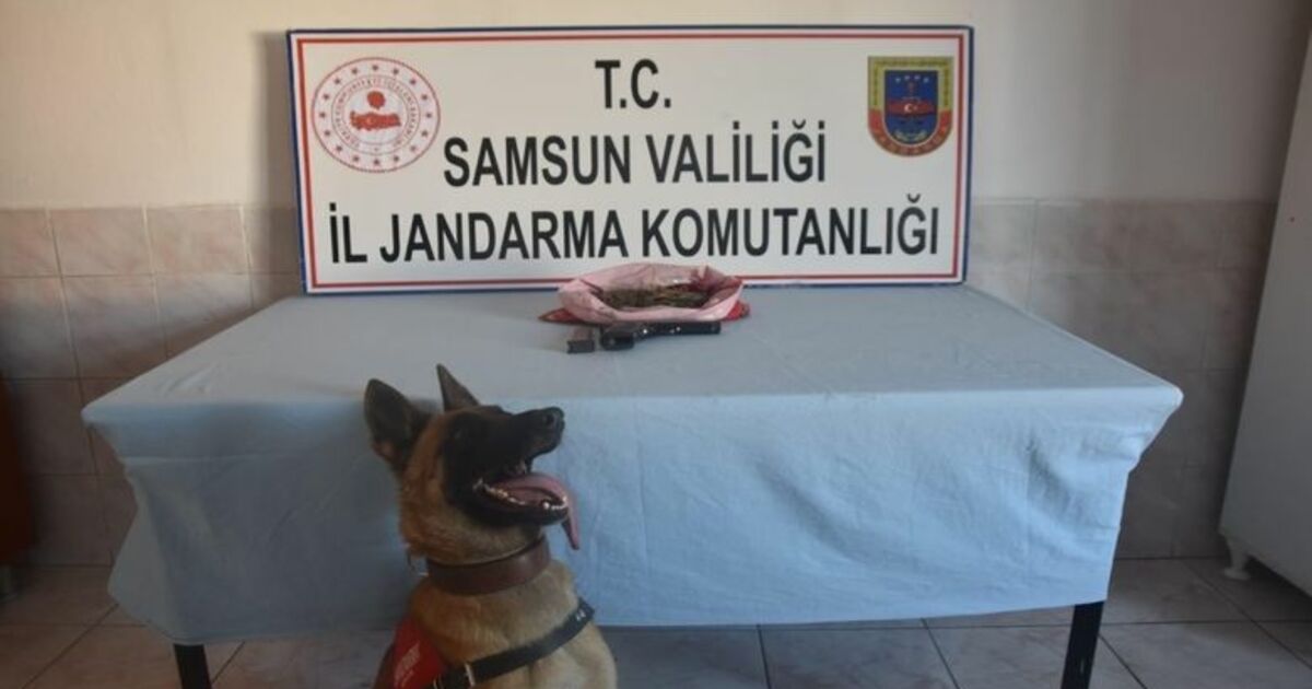 Bafra’da Kubar Esrar Ele Geçirildi