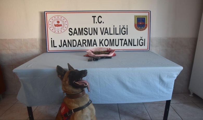 Bafra’da Kubar Esrar Ele Geçirildi - Samsun’un Bafra ilçesinde narkotik köpeği ile yapılan aramada 100 gram kubar esrar maddesi ele geçirildi.