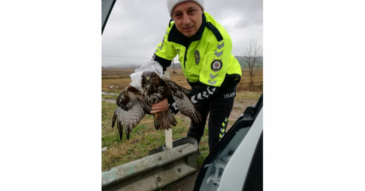 Trafik Ekiplerinin Hayvan Sevgisi
