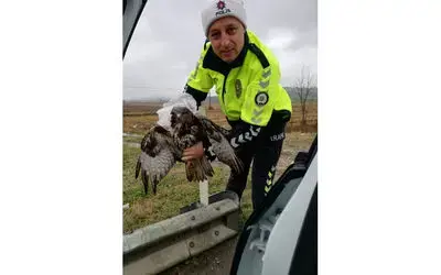 Trafik Ekiplerinin Hayvan Sevgisi
