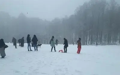 Bafralılar Yüksek Kesimlere Yağan Karın Tadını Çıkardı